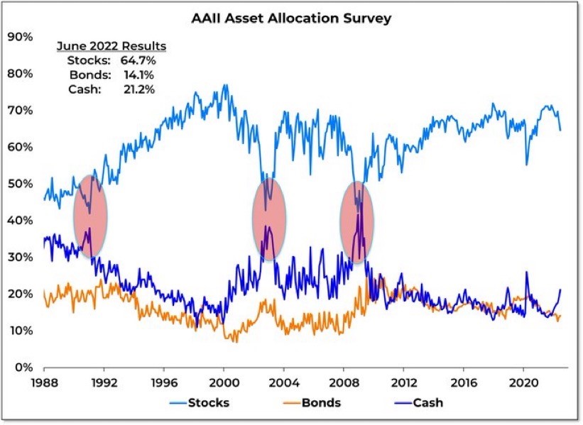 AALL Asset Allocation Survey