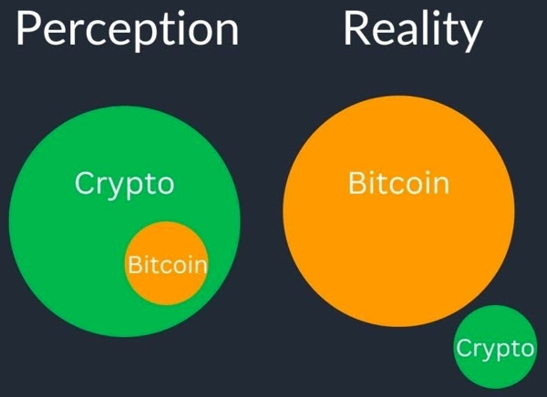 Altcoins-Perception vs Reality