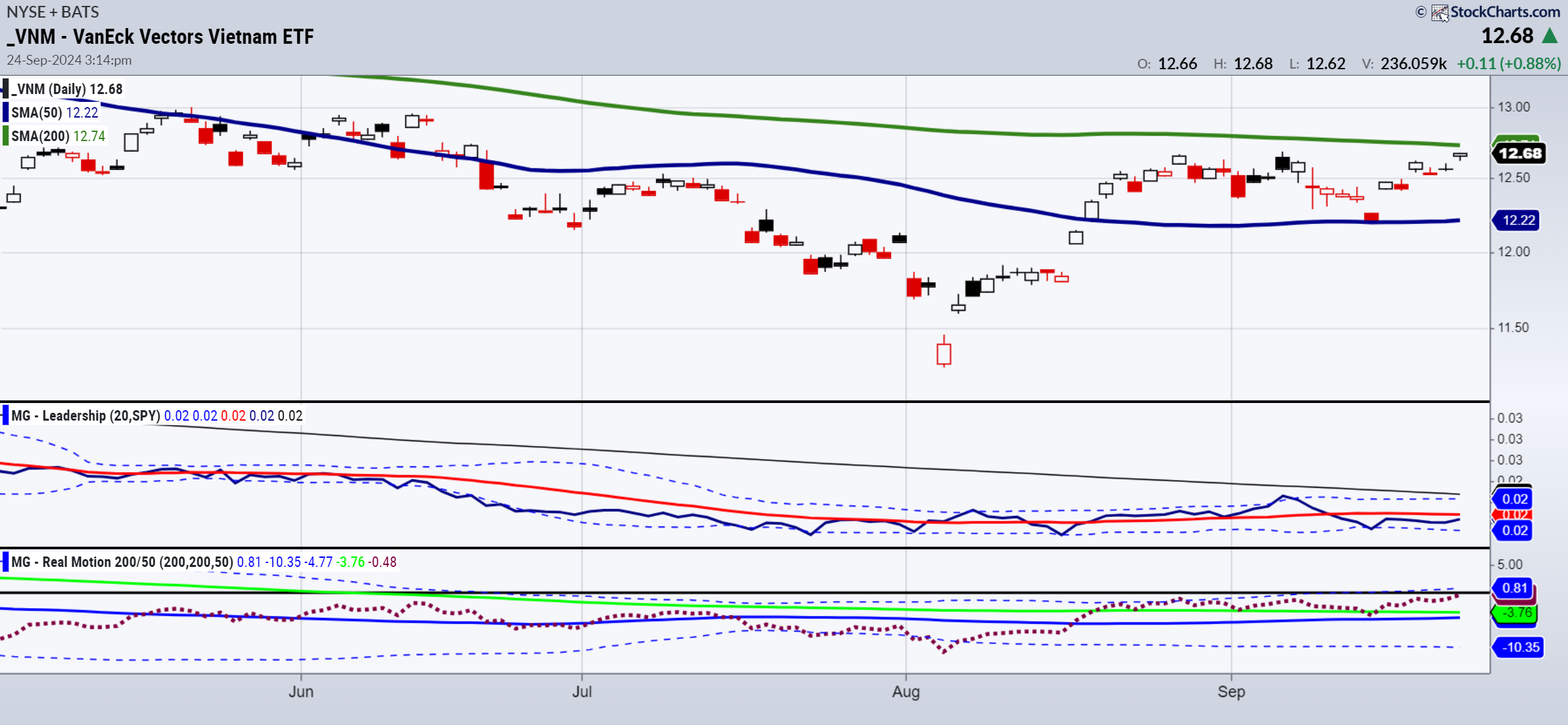 VNM ETF-Daily Chart