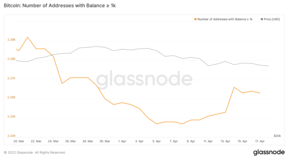 Number Of Addresses With A Balance Greater Than 1,000 BTC.