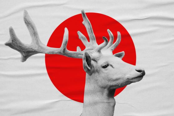 Kohei Nawa’s Public Art “White Deer (Oshika)” Original Data Converted to NFT and Aiming to Donate The Public Art to Ishinomaki-City