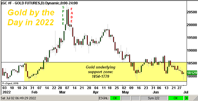 Gold Daily YTD Chart