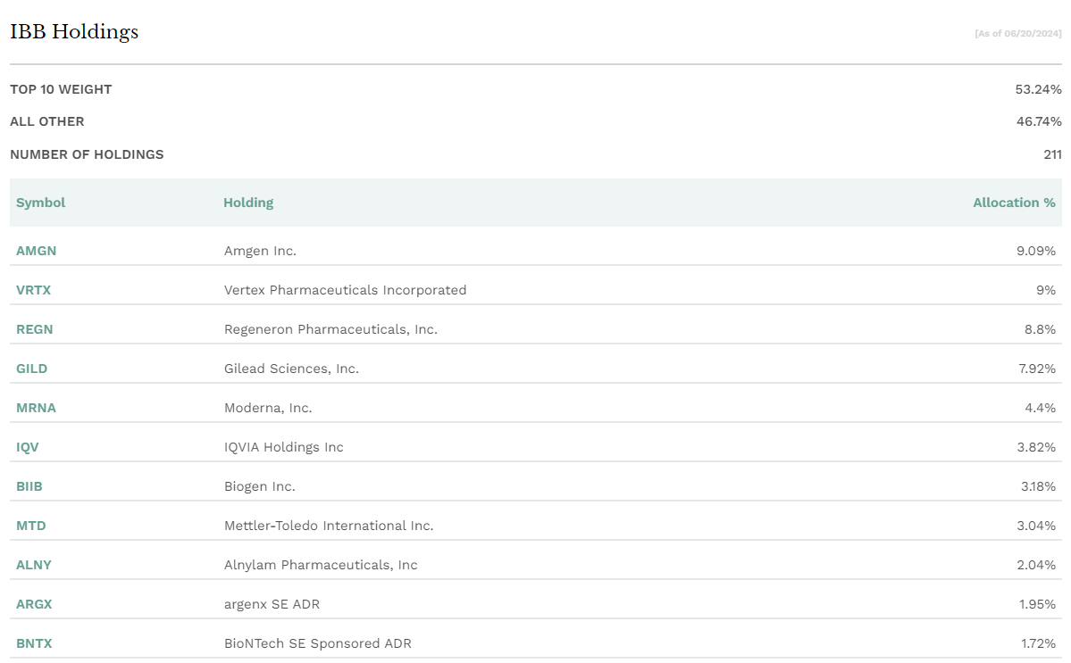 IBB Holdings