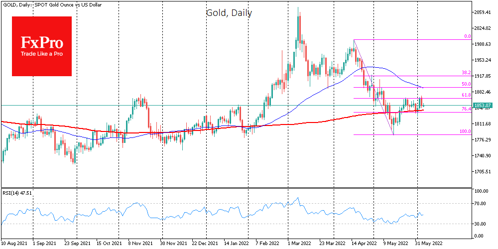 Gold daily chart.