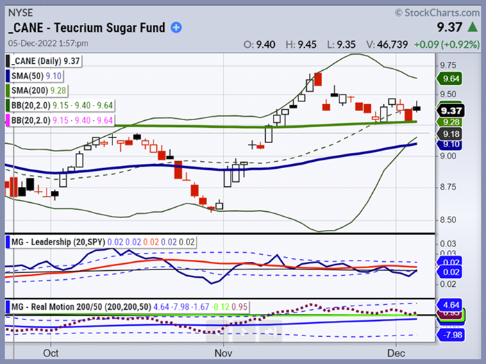 CANE Daily Chart