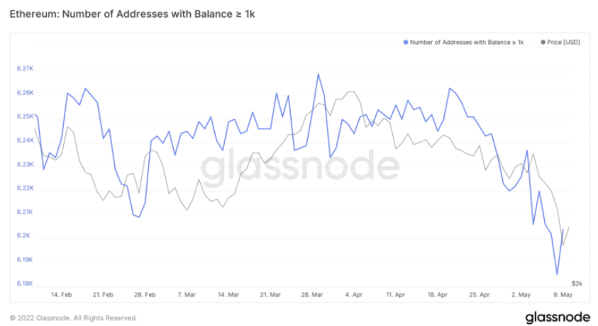 Ethereum - Number Of Addresses With Balance More Than 1,000.