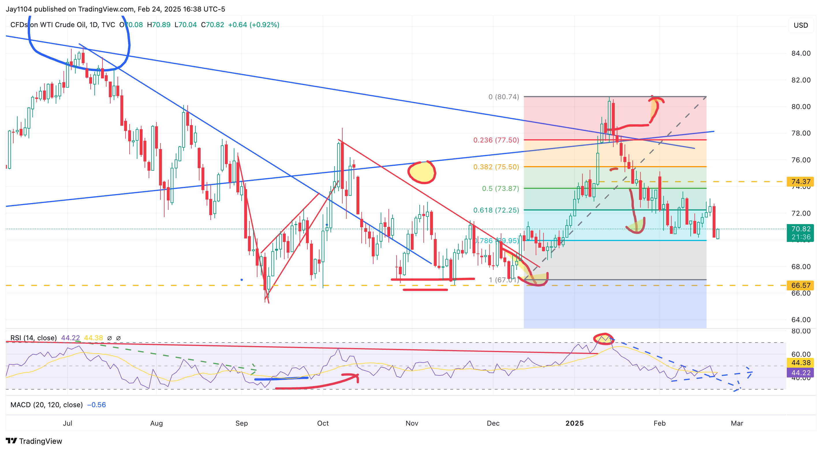 WTI Crude Oil-Daily Chart