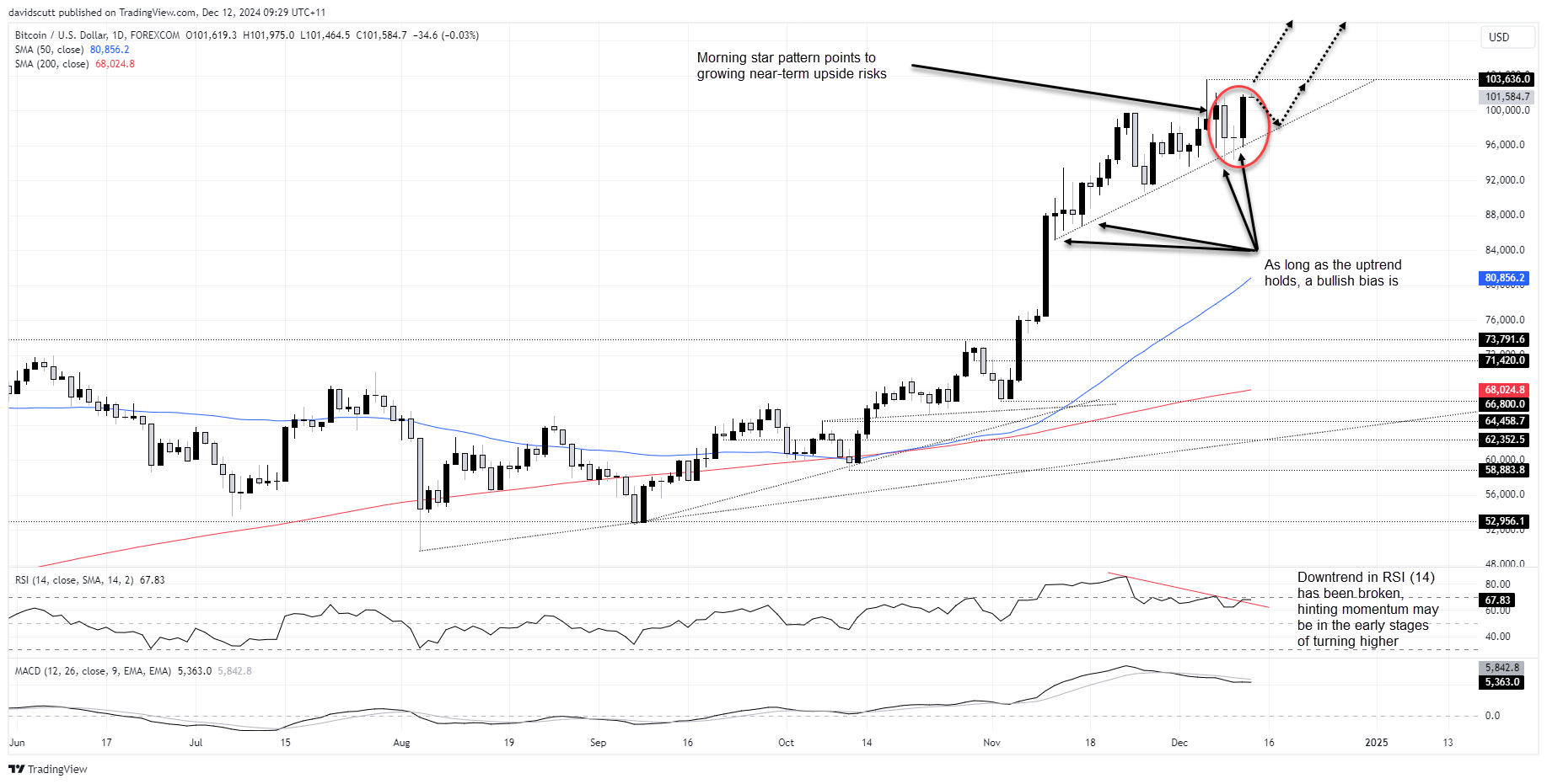 BTC/USD-Daily Chart