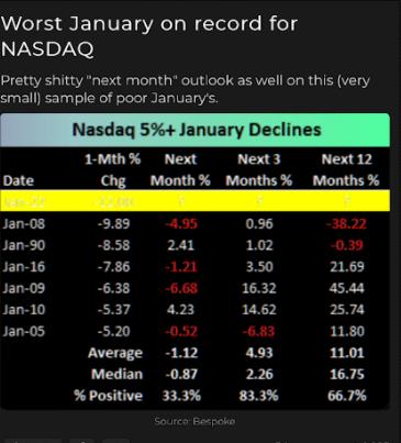 NASDAQ January Performance