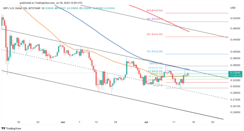 Ripple Trading Volume Jumps 1,500% Amid Crypto Bear