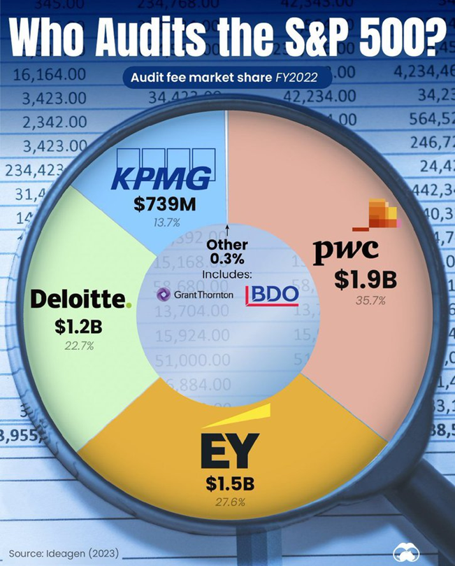 S&P 500 Audits