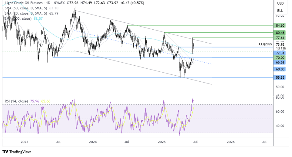 Crude Oil-Daily Chart