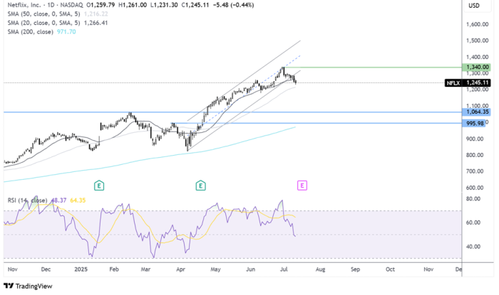 Netflix-Daily Chart