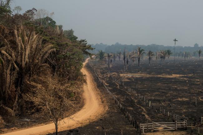 © Bloomberg. A cattle farm sits scorched by wildfires in Porto Velho, Rondonia state, Brazil, on Friday, Aug. 23, 2019. The Brazilian government is pushing back against mounting national and international pressure over its environmental policies as a record number of fires rip through the Amazon rain forest.