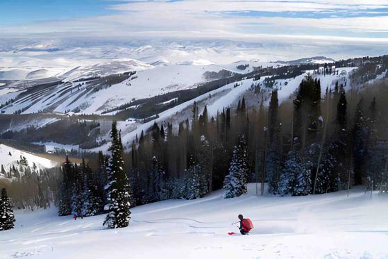Vail Resorts (NYSE:MTN) Reports Sales Below Analyst Estimates In Q2 Earnings, Stock Drops