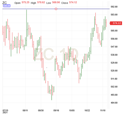 ZC Futures Daily Chart