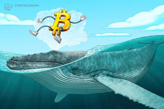 BTC price tops 10-day highs as Bitcoin whale demand sees 'huge spike'