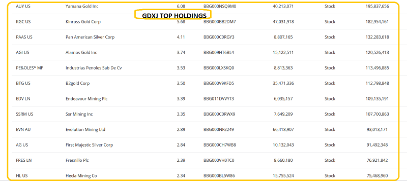 GDXJ Top Holdings