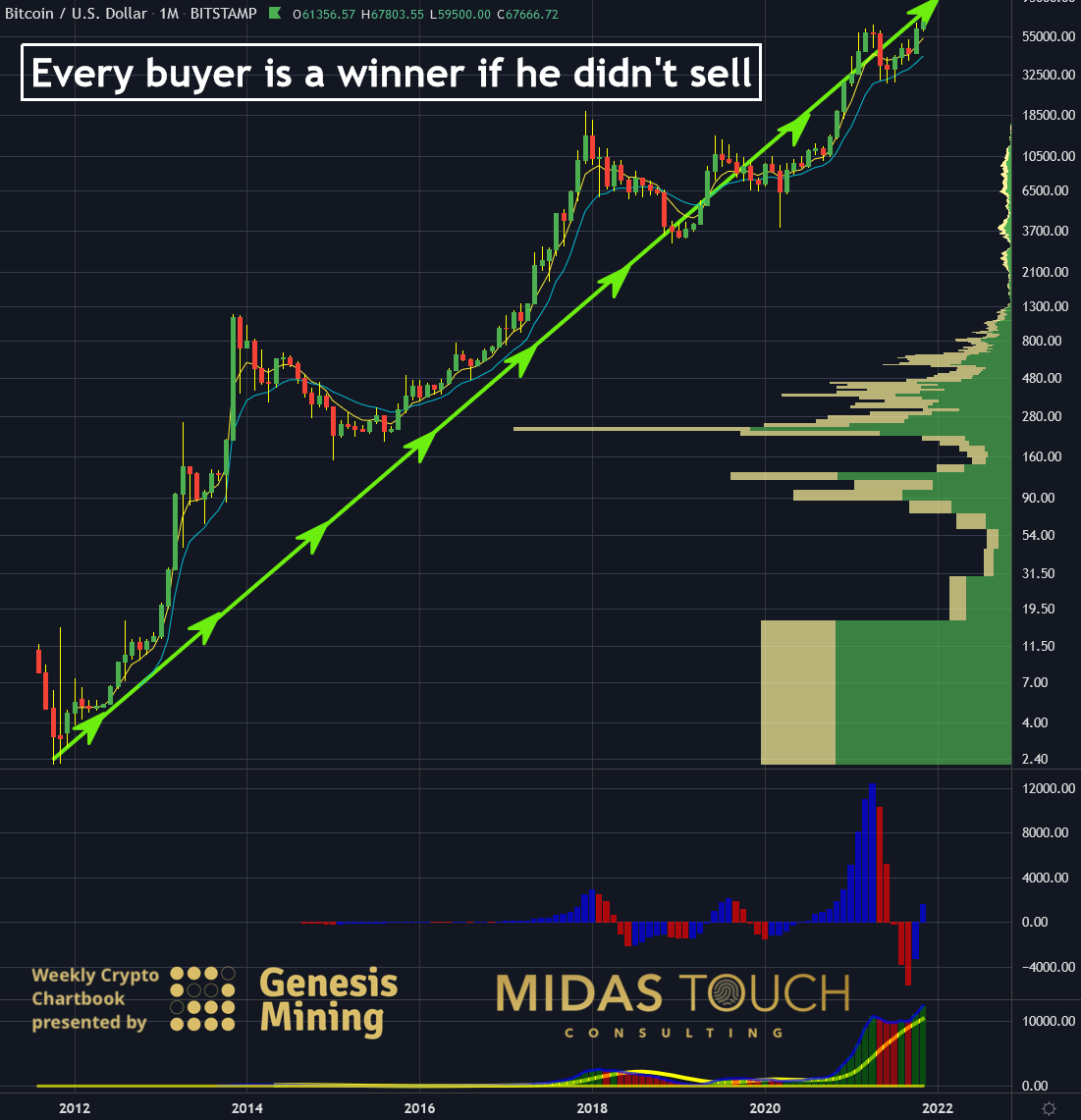 Bitcoin Monthly Chart As Of Nov. 9, 2021