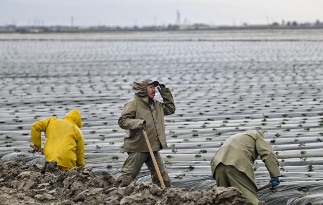 California Storms Have Farmers Rushing to Avoid Crop Shortfall