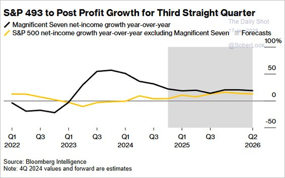 S&P 493 Profit Growth