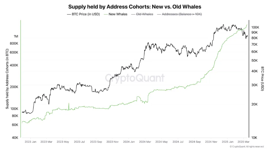 New vs Old Whales