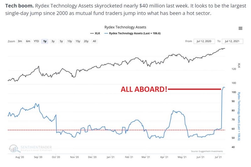 Rydex Technology Assets Chart