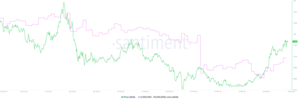 ADA Price Chart