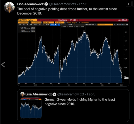 Lisa Abramowicz Negative Yield Debt