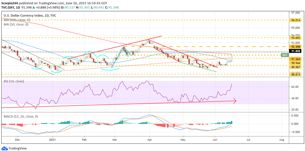 USD Index Daily Chart