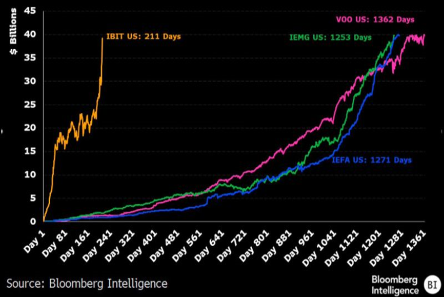 IBIT vs VOO vs IEMG ETF Performance