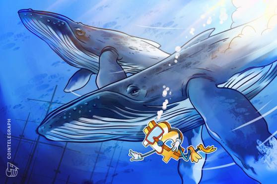 BTC Price Approaches $21.7K as Whales Boost Bitcoin 'Almost Perfectly' 