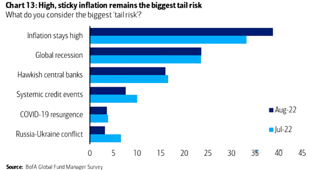 Survey Of Biggest Tail Risk