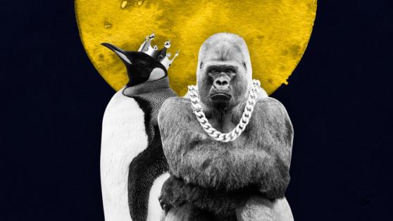 NFTs Are Back!!! Penguins and Apes Behind the 8X Trading Surge of NFT Markets