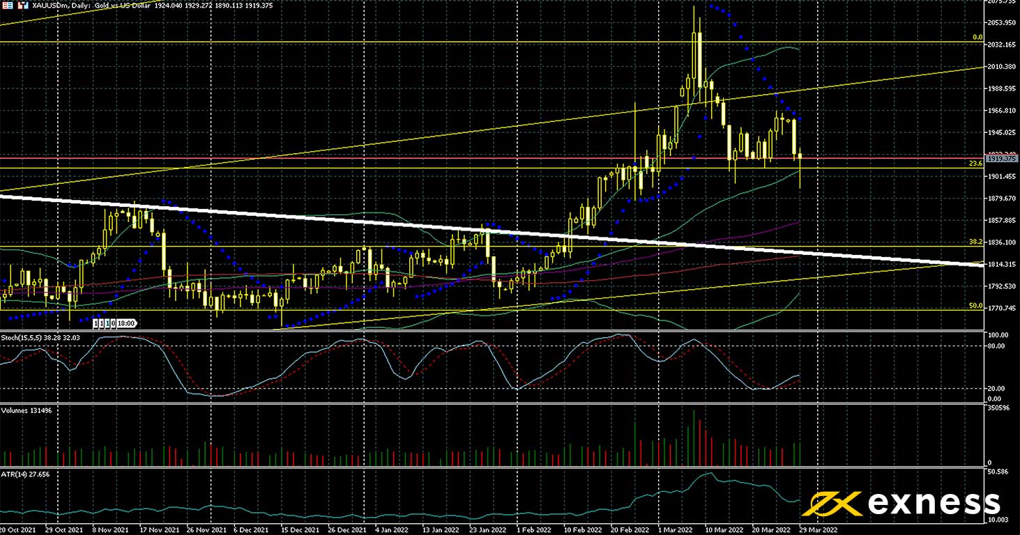 Gold daily chart.