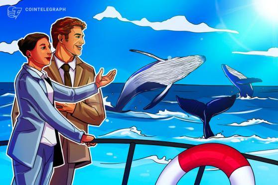 New Bitcoin entities near all-time high as analyst heralds 'positive whale activity'
