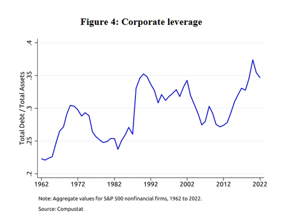 Corporate Leverage