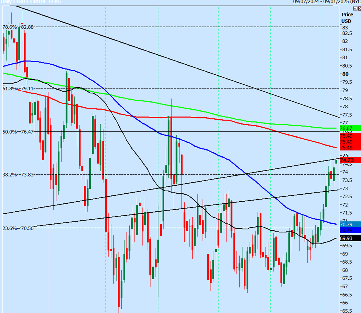 WTI Daily Chart