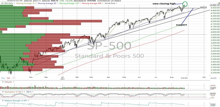 SPX Daily Chart