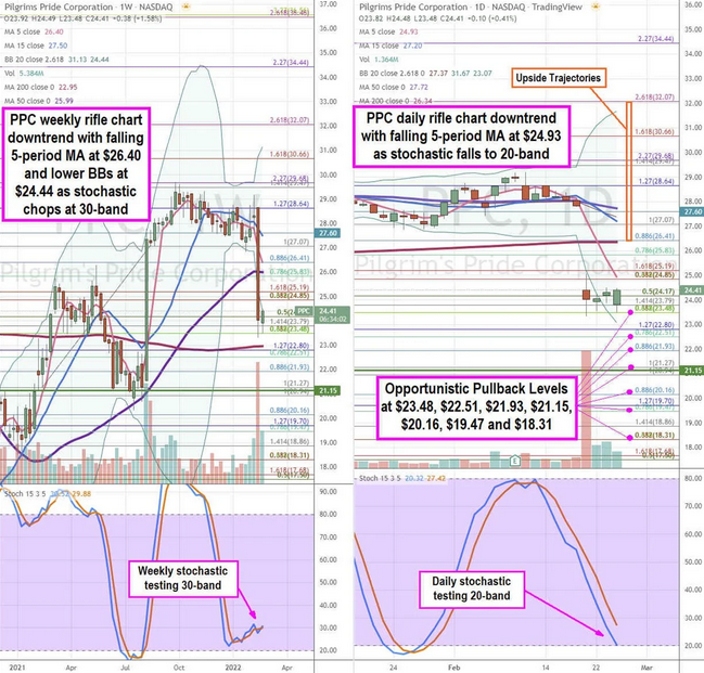 Pilgrims Stock Chart.