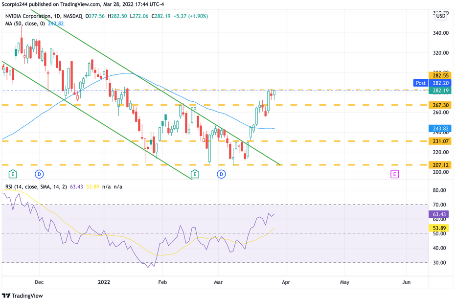 Nvidia Corp, Daily Chart