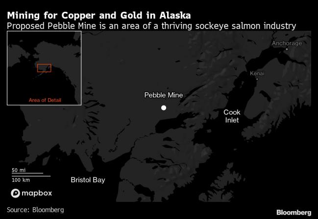 Biden to Block Alaska Gold Mine in Area Rich With Wild Salmon