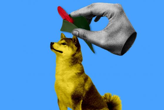 Shiba Inu, Solana, Polygon and Compound Now Listed on Robinhood 