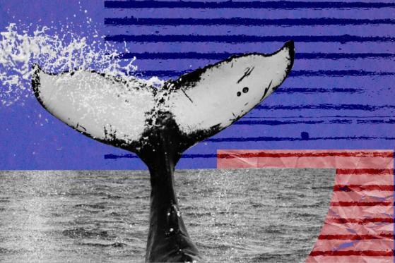Dogecoin Whale Moves $1 Billion in Single Transaction, Pays Just $0.76 in Fees