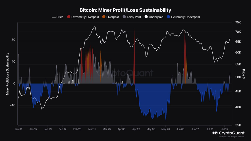 Bitcoin Miner Sustainability