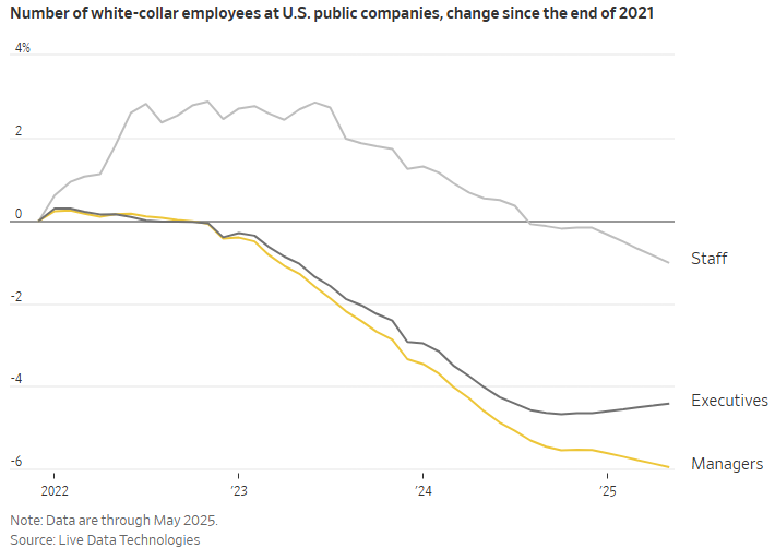 White Collar Job Cuts at Public Companies