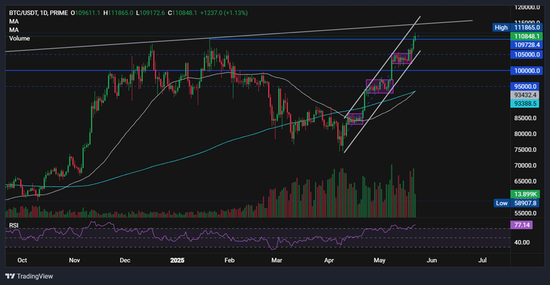 BTC/USD-Daily Chart