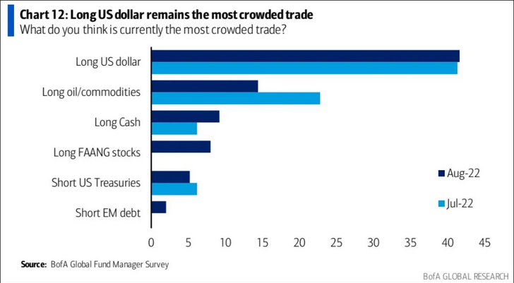 Most Crowded Trade