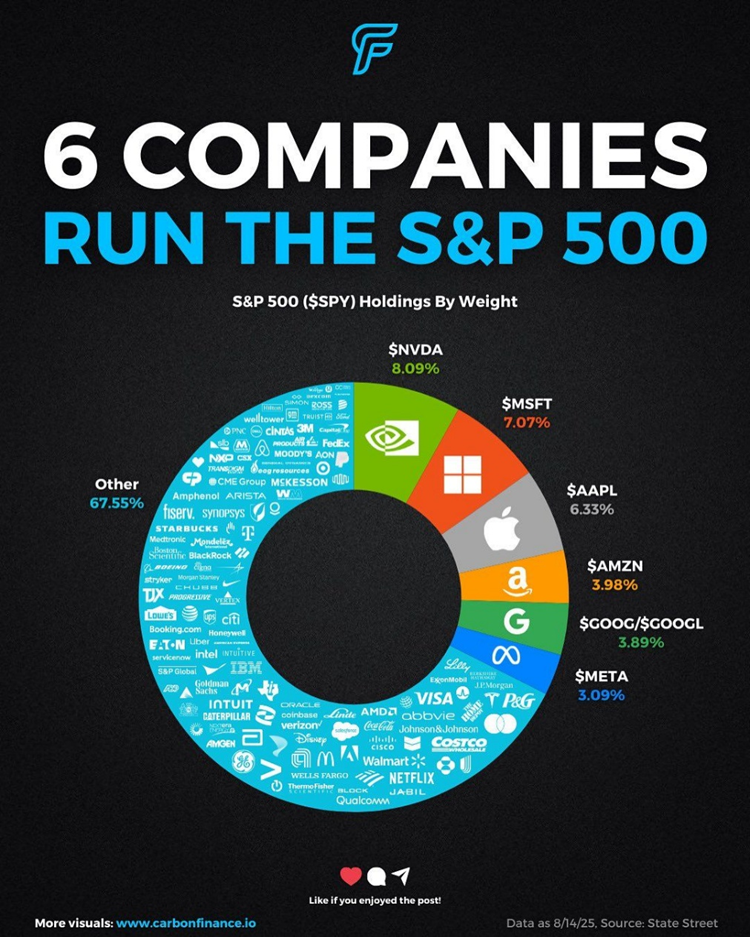 S&P 500 Holdings by Weight