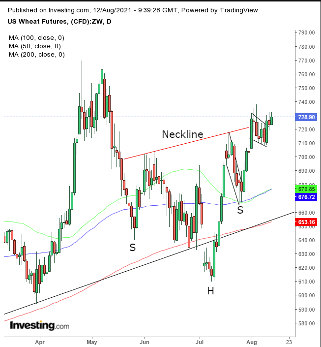 Wheat Daily